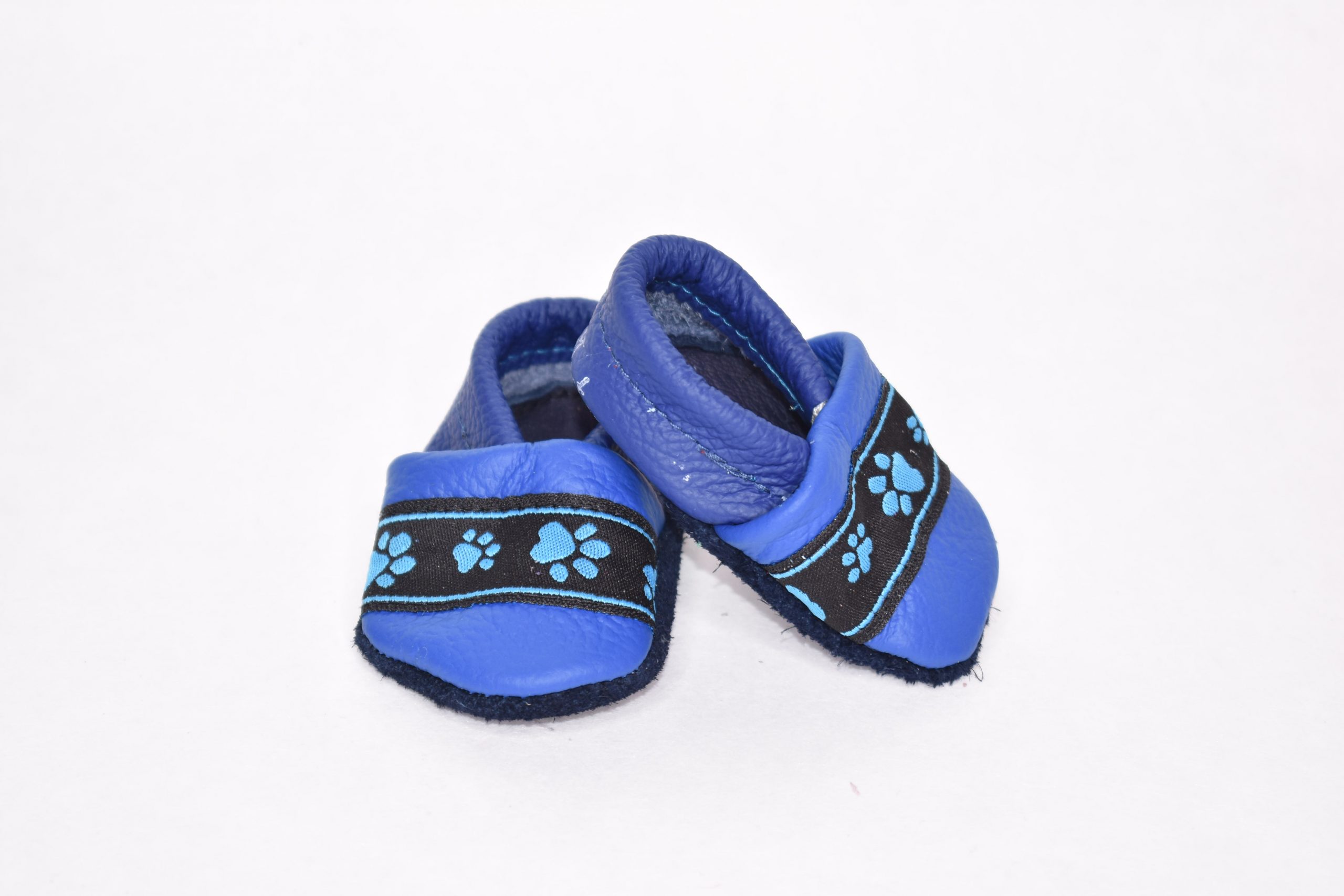 Blau mit Pfoten Band